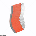 Myocardium