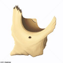 Zygoma